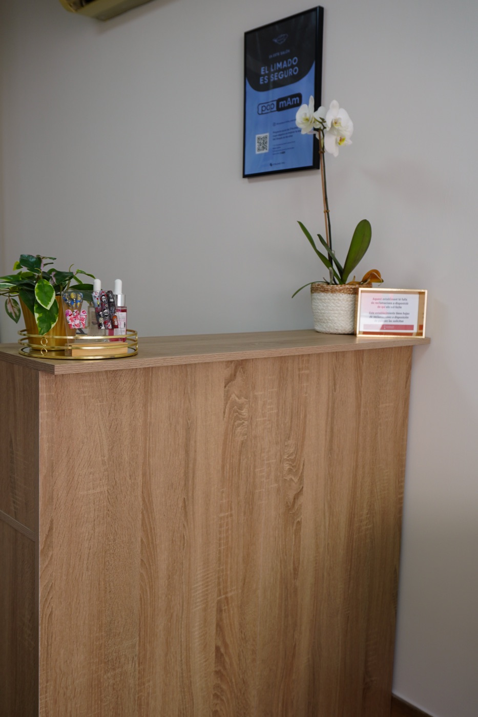 Recepción del estudio con mostrador y orquídea